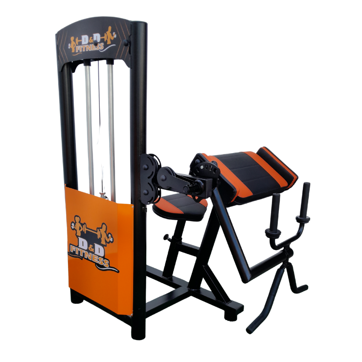 Bíceps e Tríceps com Carga