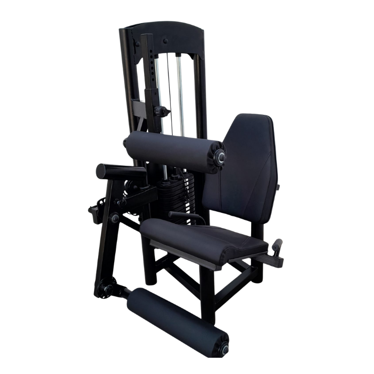 Cadeira Flexora Extesora 2x1