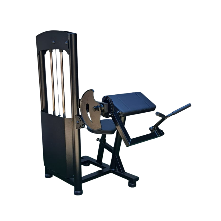 BÍCEPS MÁQUINA